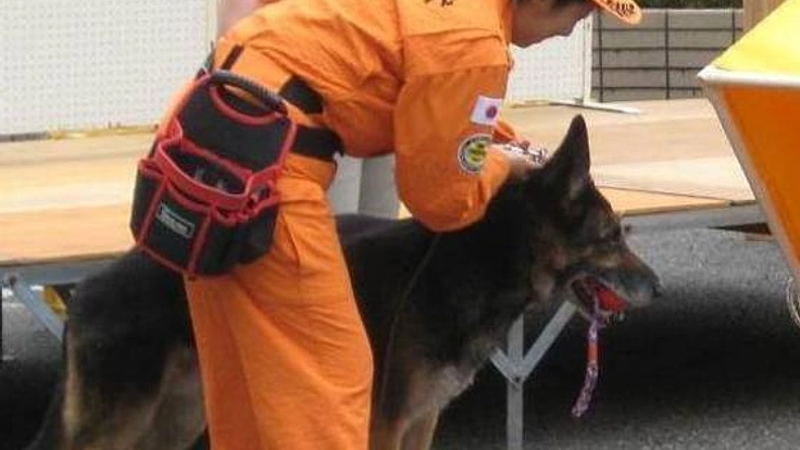 災害救助犬とハンドラーを災害現場へ派遣する為の車両を購入したい!