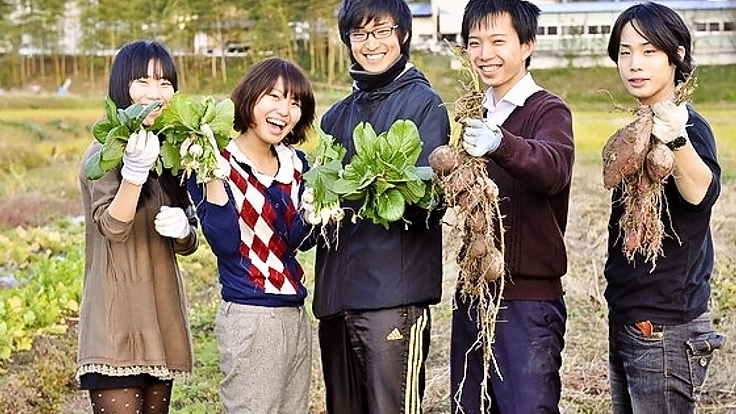 学生が農業でアルバイトをする為無人販売ボックスを増設したい！