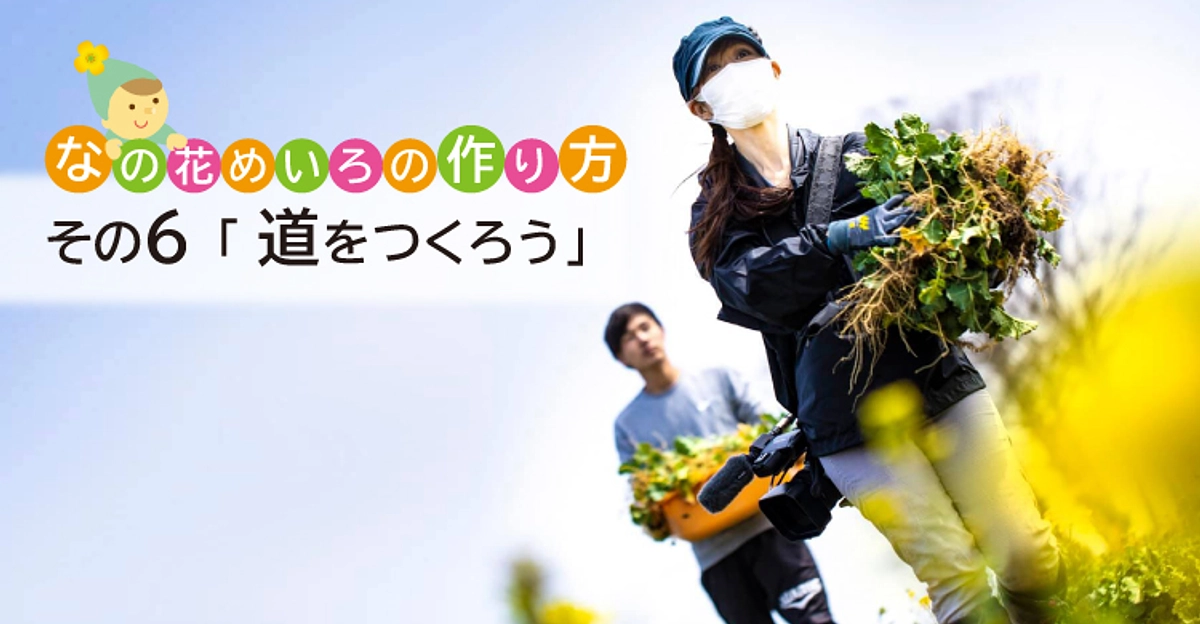 なの花めいろの作り方 その6「道を作ろう」