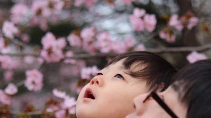 パパとママ、子どもたちからのSOSをサポートする施設を札幌に