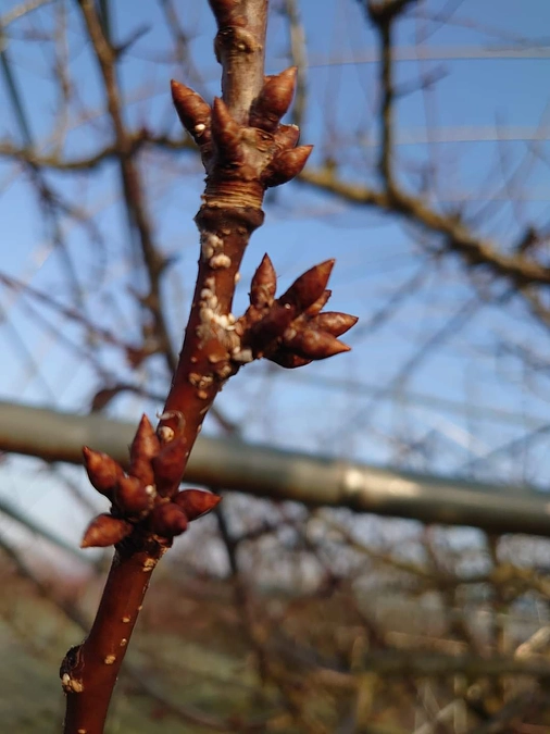 チャレンジ28日目　　８０％達成！！