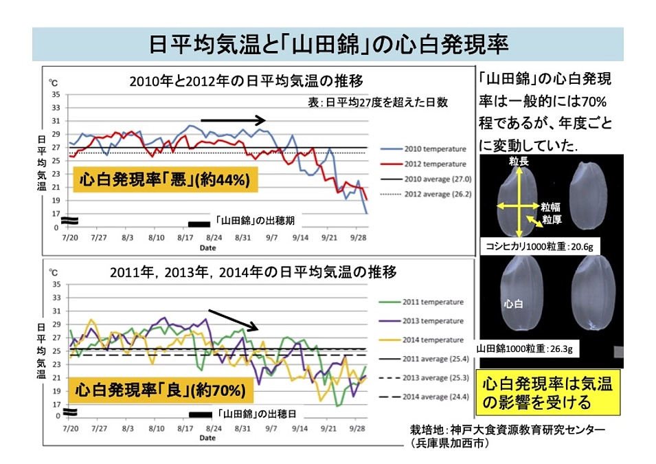 【あと7日】気候変動の影響は大きいです