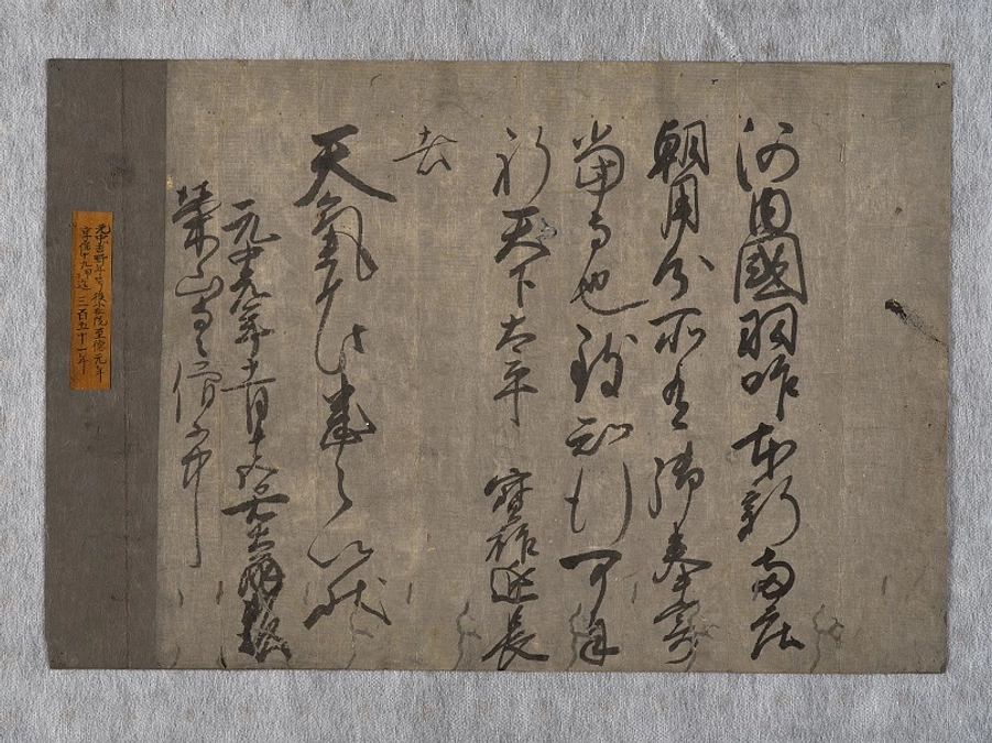 【残り５日】温かいご支援ありがとうございます