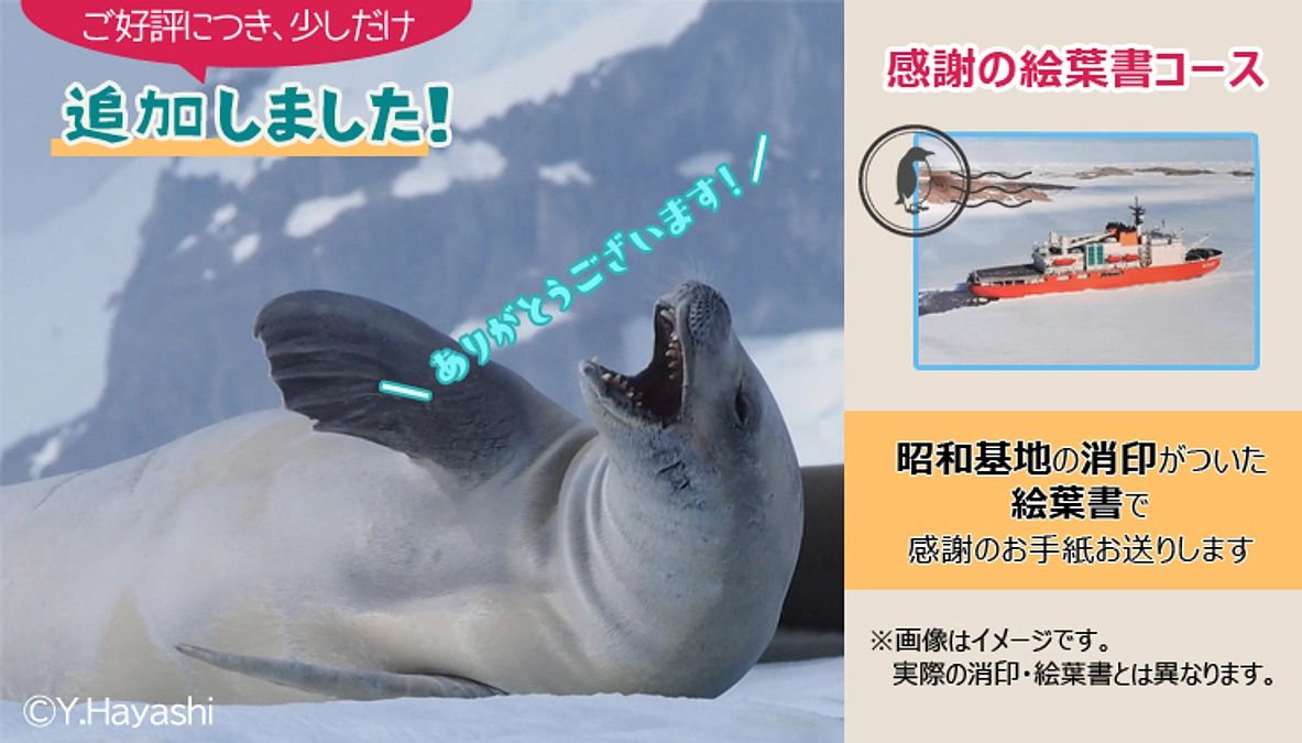 のこり4日となりました！