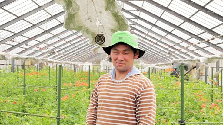 夢ゆり草（アルストロメリア）のファンを１人でも多く増やしたい