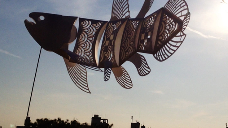 風で泳ぐ紙のシーラカンスの群れを創り、撮影したい！