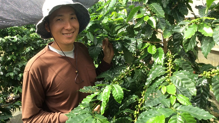 沖縄県の大宜味村でコーヒーを栽培し将来の特産品にしたい！