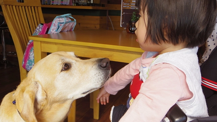 セラピードッグに会いにくる方のためにカフェをバリアフリーに！