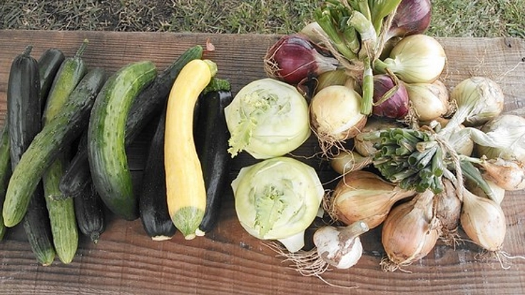 超田舎！だから！その鳥取にオーガニックカフェをつくりたい！