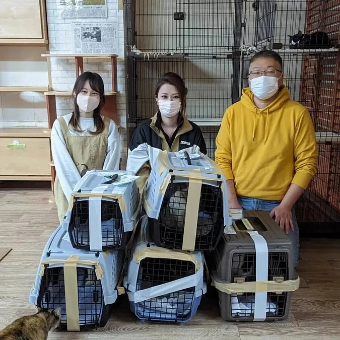 ２月２３日沖縄・南大東島から猫たちがやってきました。