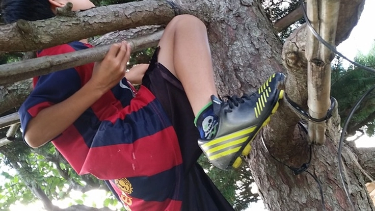 木登りしたり虫取りしたりみんなで過ごす「じいじの家の夏休み」