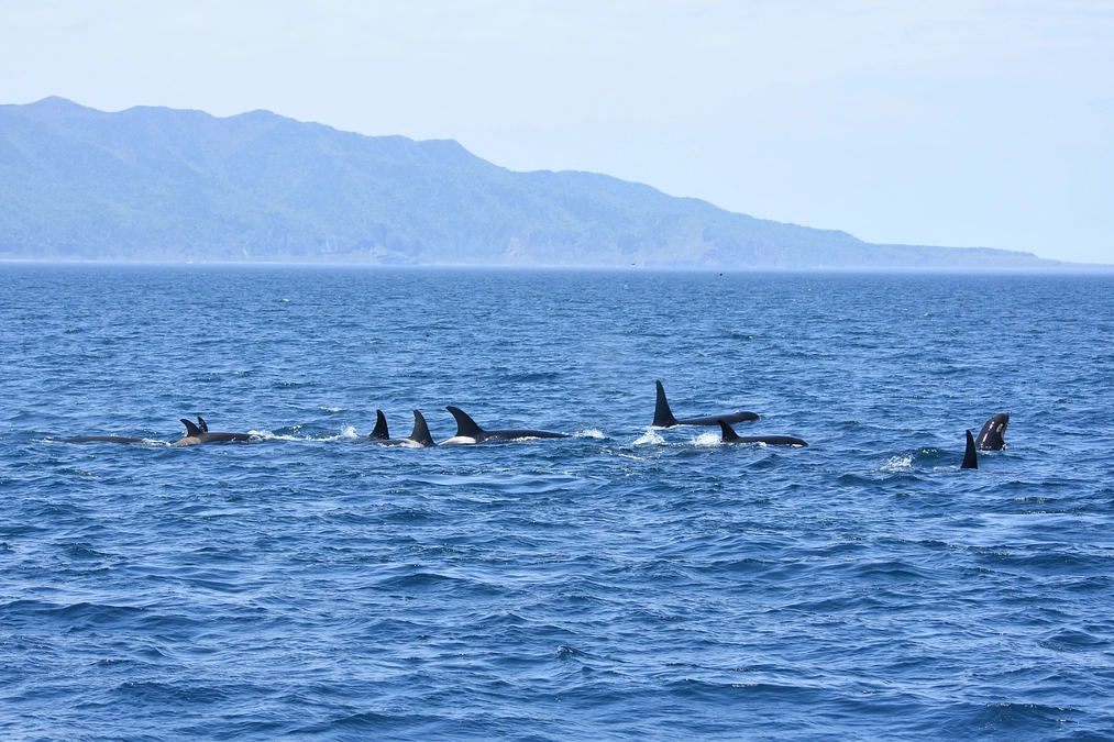 新たな挑戦を始めます！