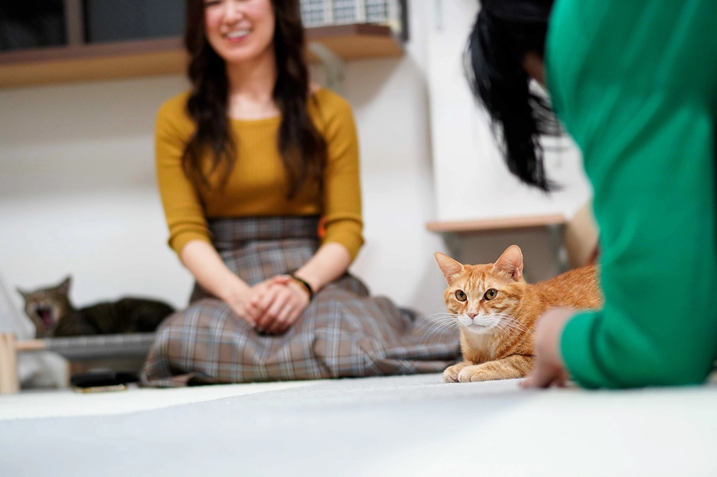 【お願い】情報拡散にご協力ください！