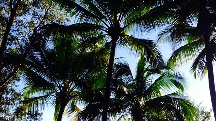 今年3月に福島の子どもたちを連れてオーストラリアのケアンズへ！