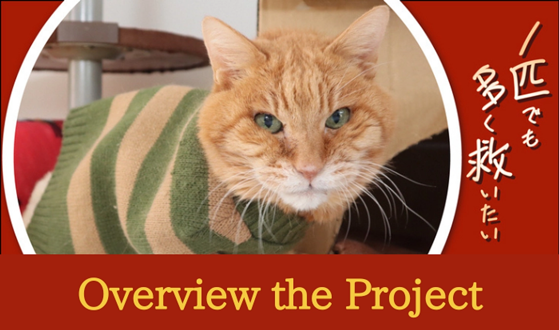 Overview of the Project