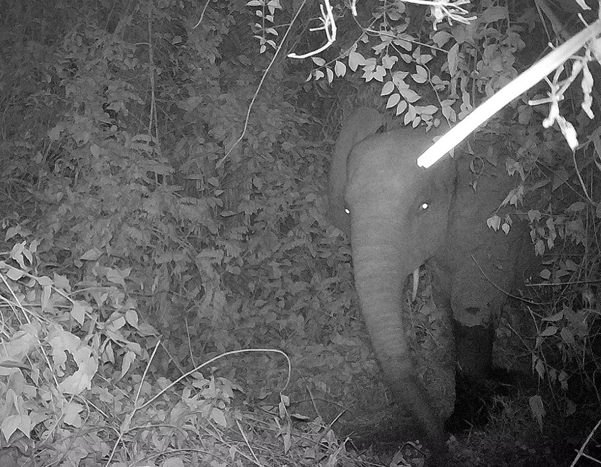 【サンガ多国間世界遺産】コンゴ盆地北西端、重要な立地のロベケ