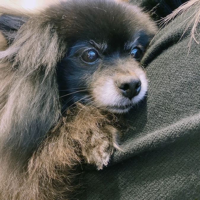 🏥2/18(土)診察結果のご報告🏥