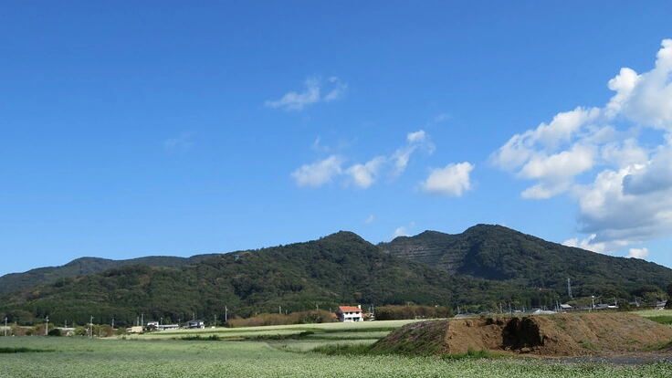 国指定重要文化財　三重塔屋根応急修理ご協力のお願い 4枚目