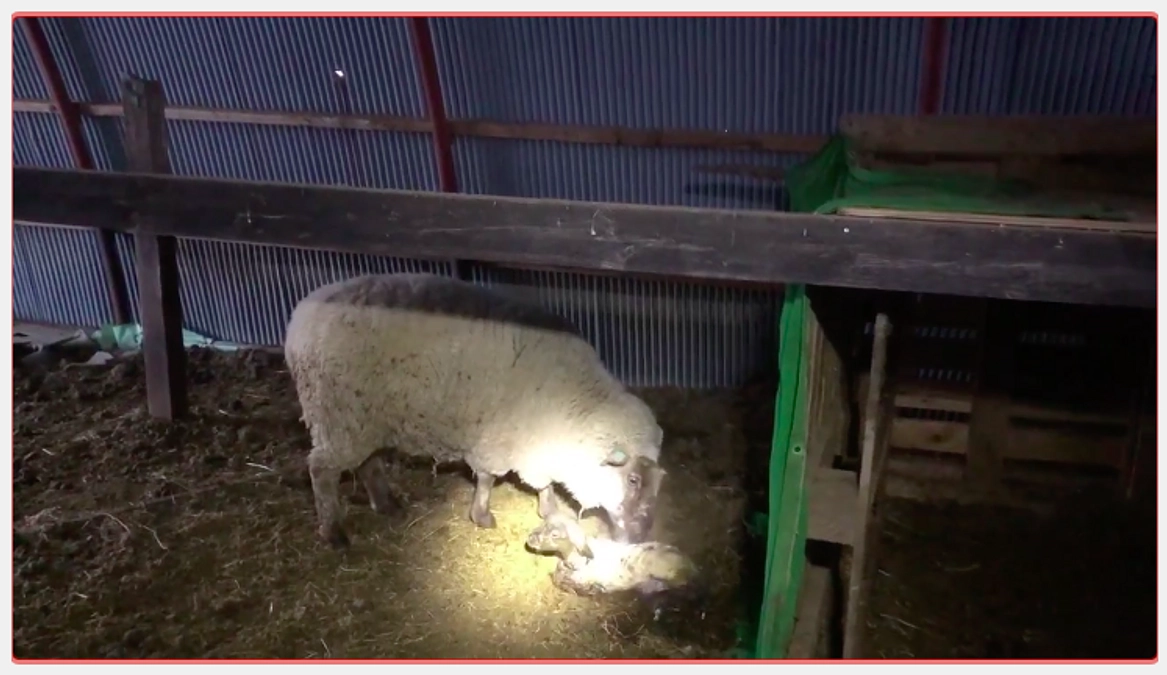 残り3時間、現場では。