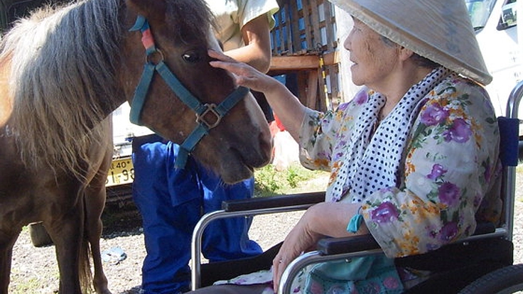 牧場内に来場者が落ち着いて休むことができる休憩所を作りたい！