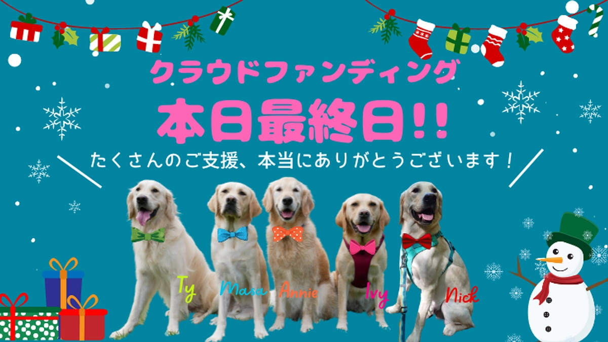 2022年クラウドファンディング本日最終日　残り13時間です。