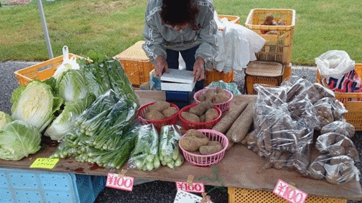 福島の再生を環境保全型フクシマハウス有機農法で応援したい！