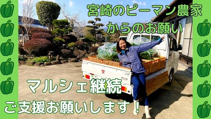 宮崎県の美味しい野菜を多くの人に知ってほしい！