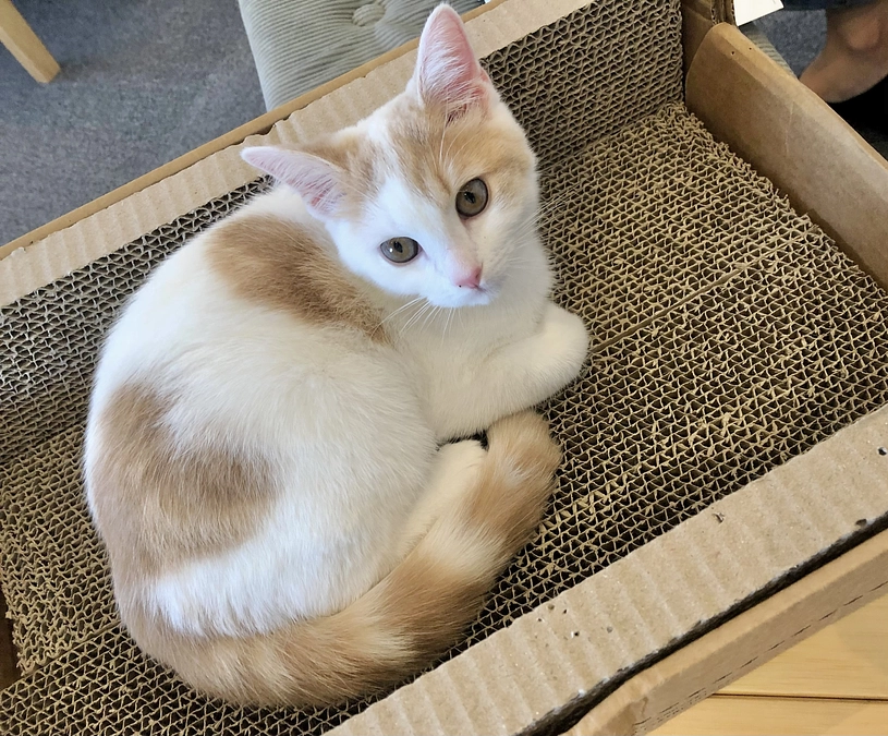 【速報】達成率50％❗️