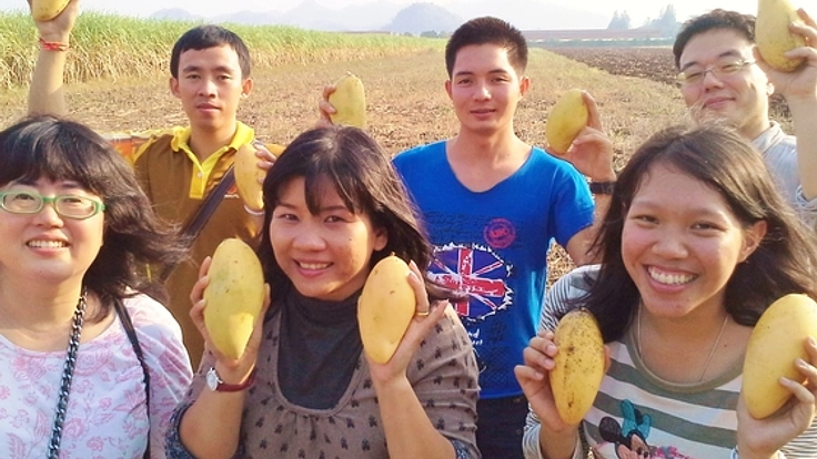 タイで農家になりたい若者とトロピカルフルーツを育てタイ！
