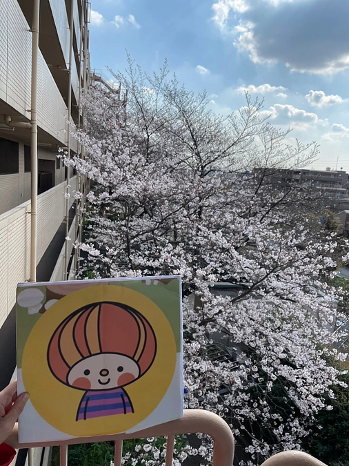 【動画33】さくらさくら