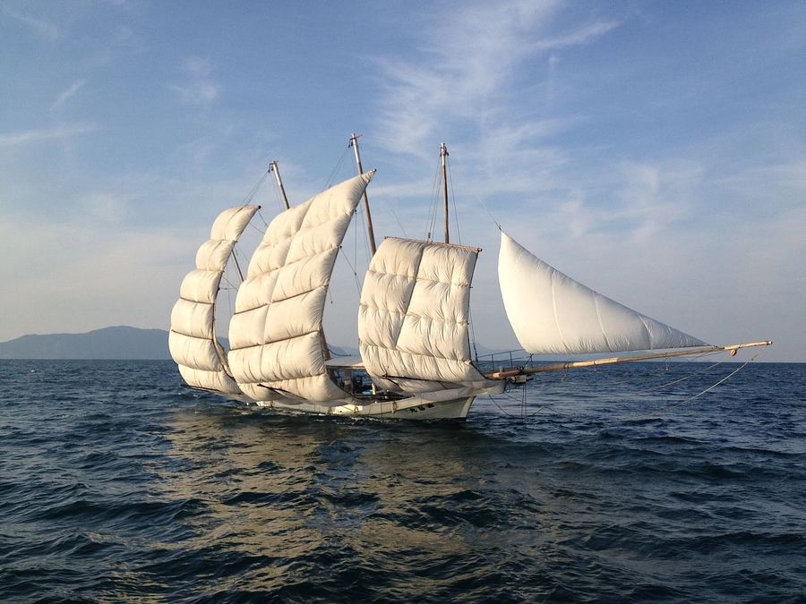 【本日23時終了】 目標金額達成しました！