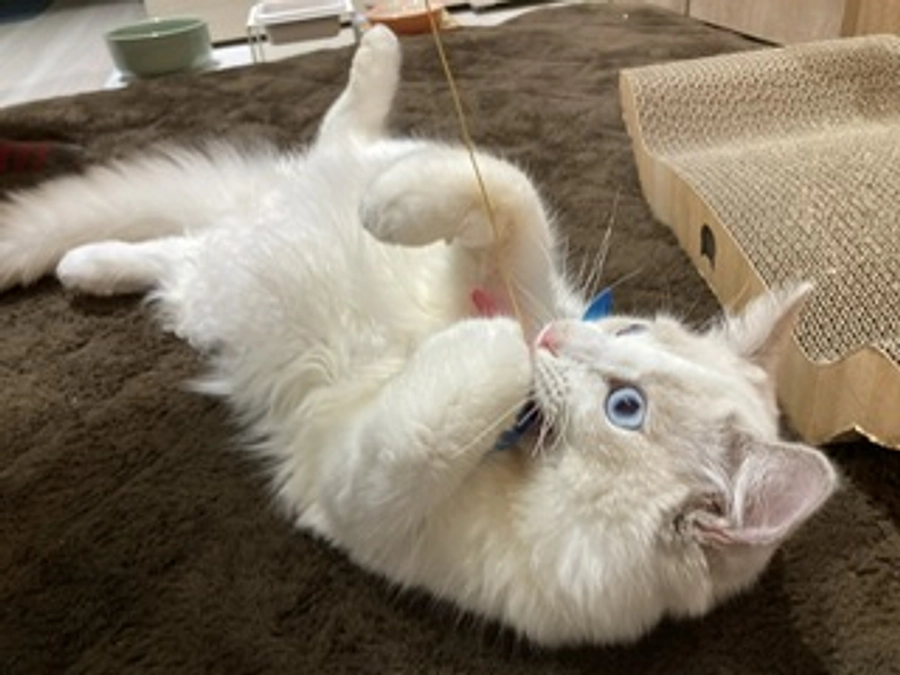 投薬１４日目(2023.3.26)