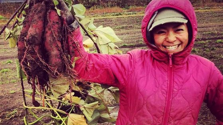 農薬や肥料を使わずより安全な野菜を栽培出来るようになりたい!