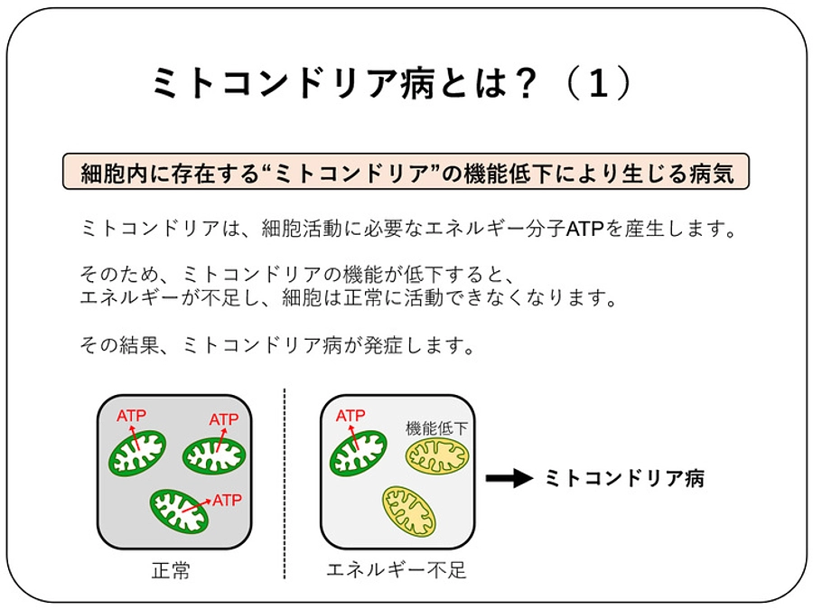 ミトコンドリア病とは？（１）
