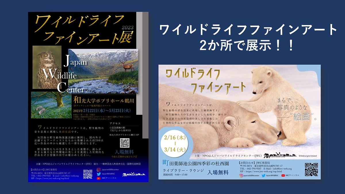【お知らせ】ワイルドライフファインアート 2か所での展示！