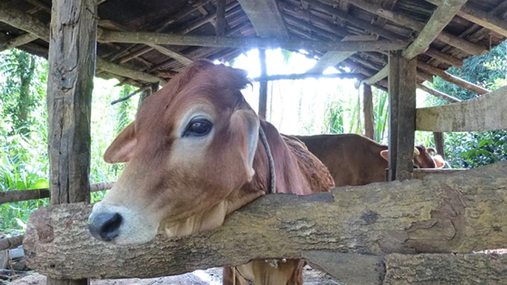 スリランカの有機転換農家のためのコンポストセンターを作る！