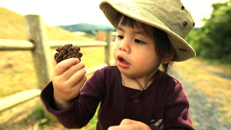 子供がのびのび遊べる公園つきカフェを気仙沼にオープンします！