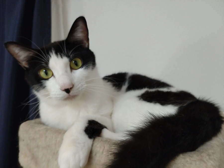 この１ヶ月について