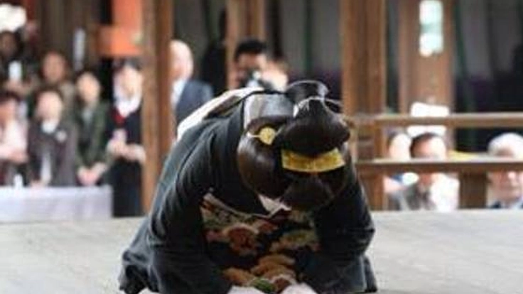 再トライ「柿の葉チーズケーキ」をならのお土産の新定番にしたい