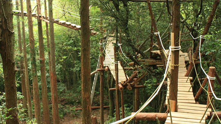 世界自然遺産・屋久島その森林環境を救う「空中回廊」の建設