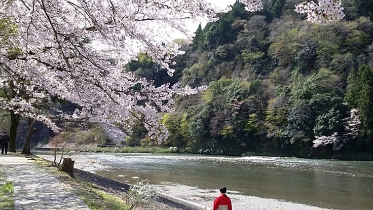 久慈川の川原で川と緑と音楽をゆっくり楽しむ音楽会を開催したい