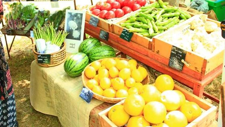 第9回Vege&Fork Marketをみんなで作ろう！