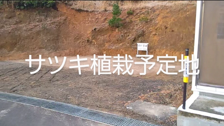 三重・熊野の里山にサツキの庭園 3枚目
