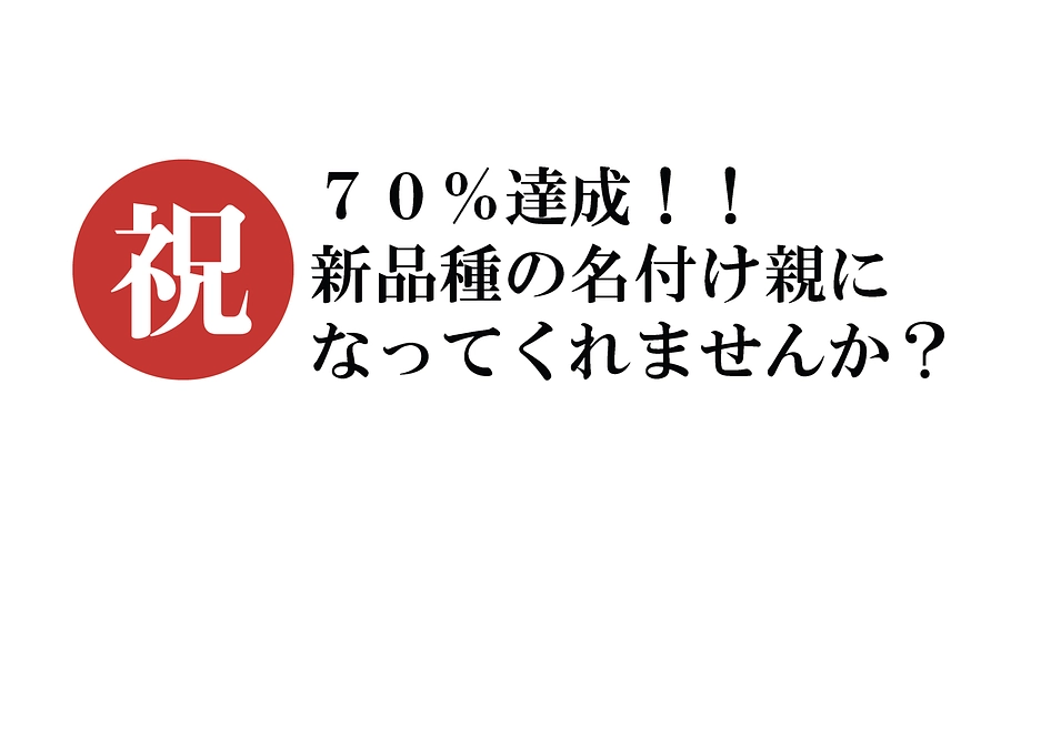 【あと２日です】70%達成しました！