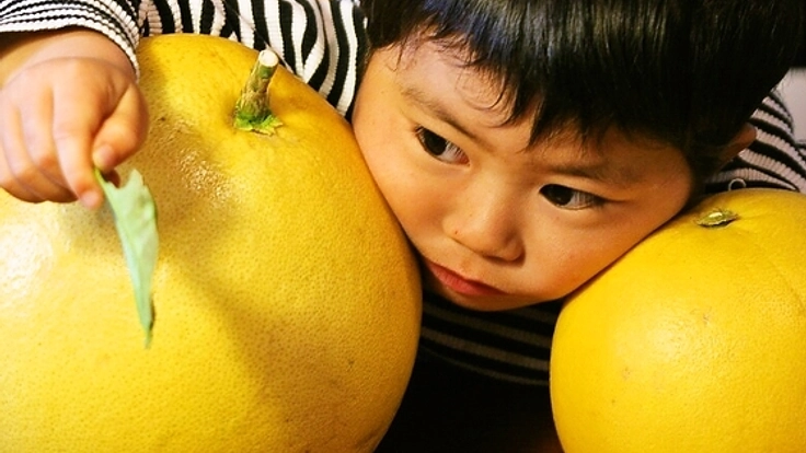 みかんの絵本を作製し、美味しい国産柑橘を食育に活かしたい！