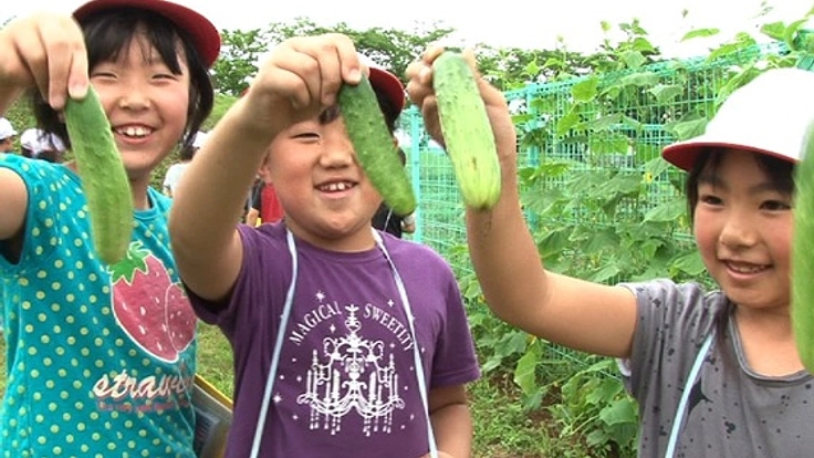 在来野菜を｢食べて守る｣ムーブメントを広げ、地域の魅力を守る