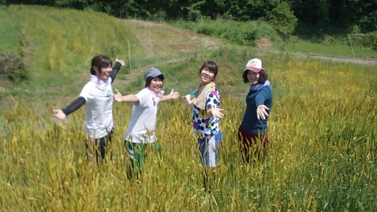 農薬・化学肥料なしの小麦のパンと大豆で棚田を未来へつなげたい