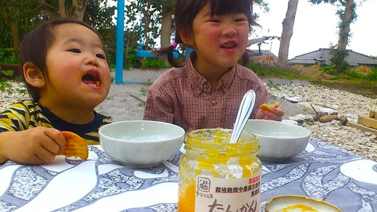 鹿児島の野菜果物で規格外となり捨てられている作物を商品化！