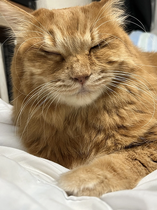 ３回目の抗ガン剤治療