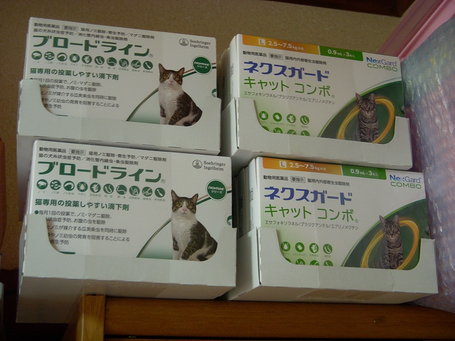 無理して仕入れたネクスガードキャットコンボはこれだ！！